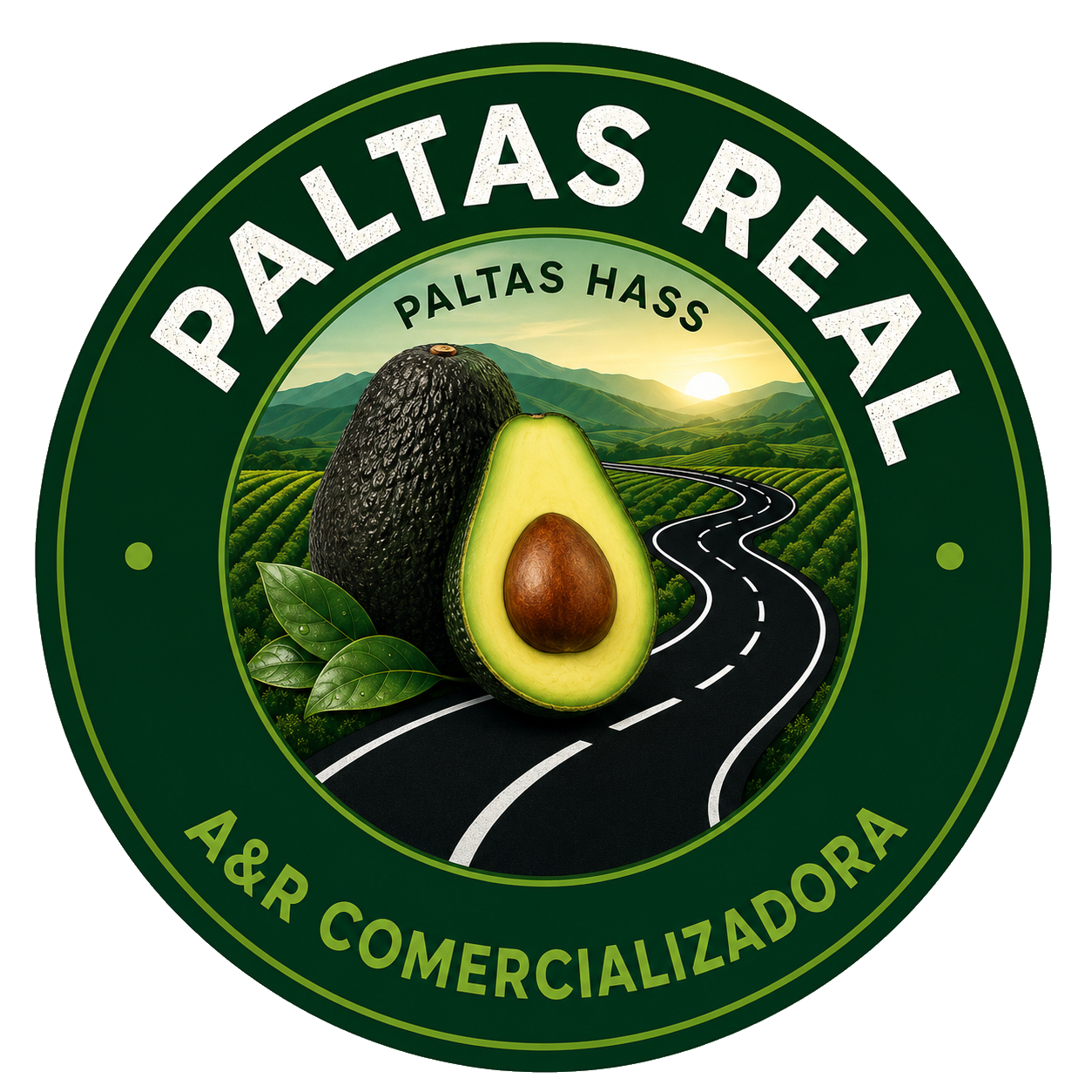 Punto Verde Logo